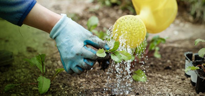 Irish Water appeals to Tipperary people to conserve water during heat wave - and gives some tips