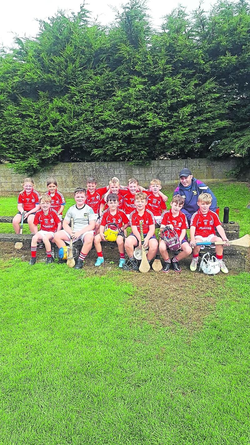 Roscrea hurling club fixtures