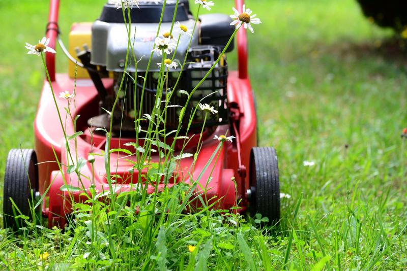How are you fixed? Tipperary Tidy Towns group could do with a little help!