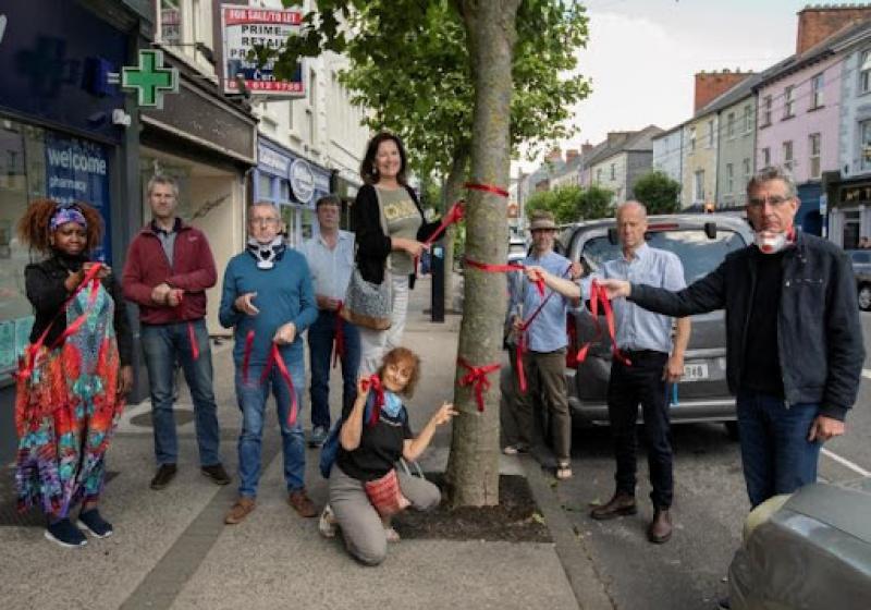 Up  to 2,000 people sign petition to save Clonmel town centre trees