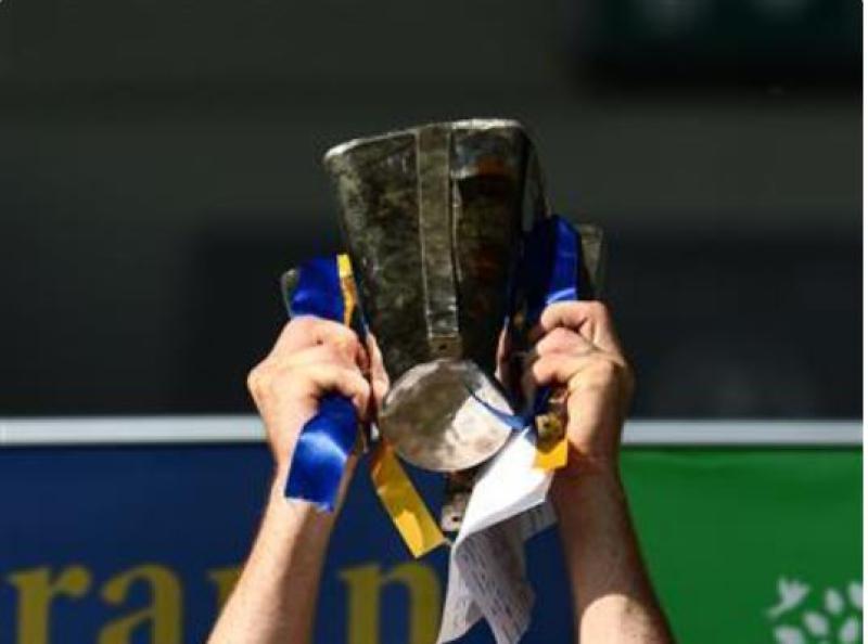 Senior club hurling previews & predictions for this weekend