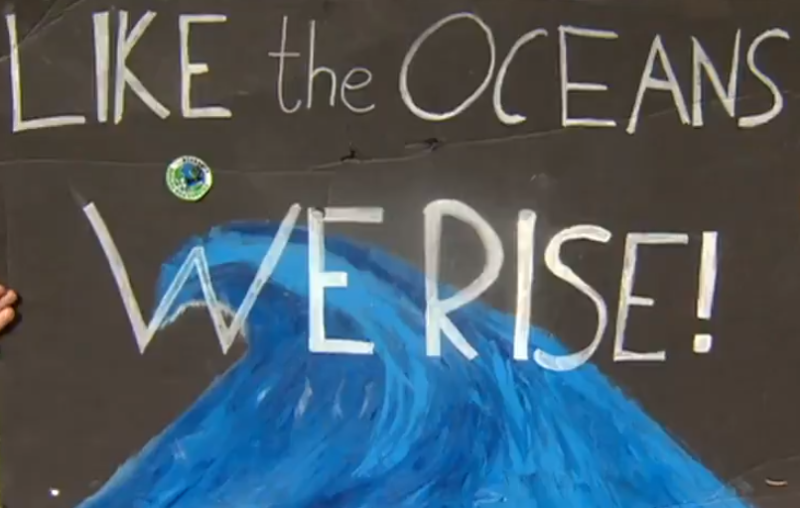 TWITTER REACTS: Irish students skip school for climate strike 