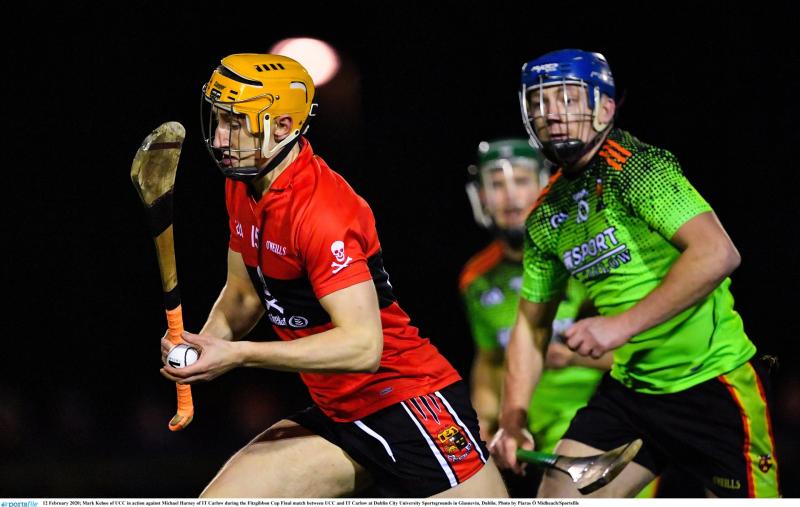 Three Tipperary GAA players amongst 80 athletes to receive full UCC scholarships