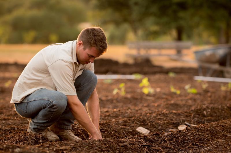 Calls on Government to consider the future of young farmers