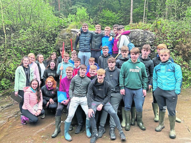 Roscrea Col&aacute;iste Phobal students make fantastic science discovery  