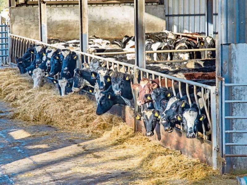 Govt TD opposes agriculture emission limits which will harm farming 