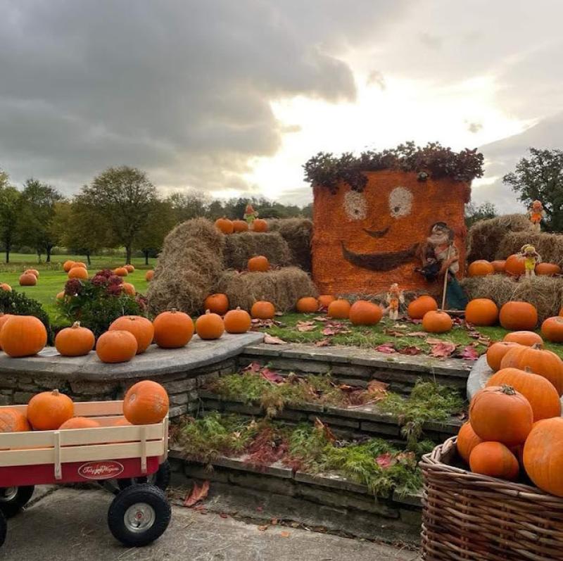 Co Tipperary Golf & Country Club Golf notes for October 25