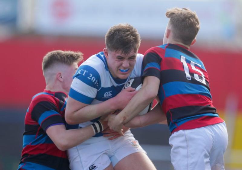 Tipperary trio called up to Ireland rugby squads 