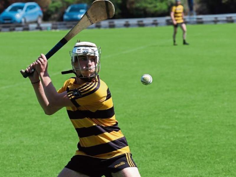 Arravale maintain Intermediate status for 2022