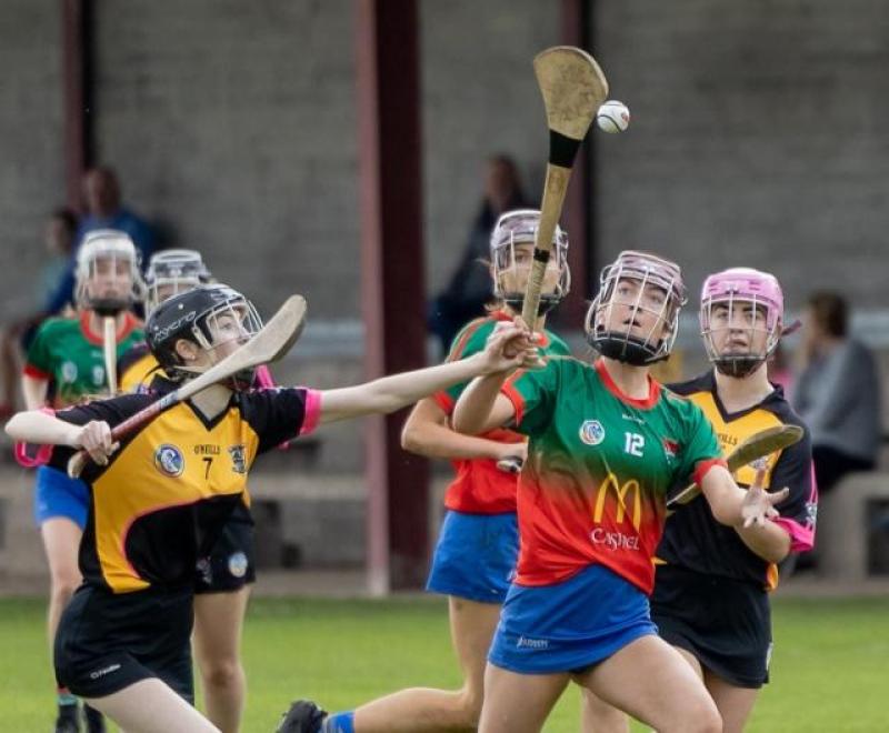 Intermediate camogie championship semi-final round-up