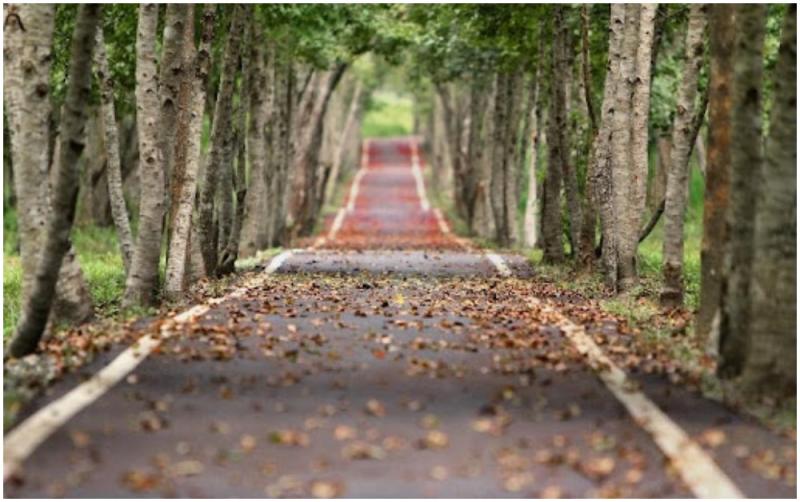 EXPLAINED: Everything you need to know about Public Rights of Way, by Lynch Solicitors