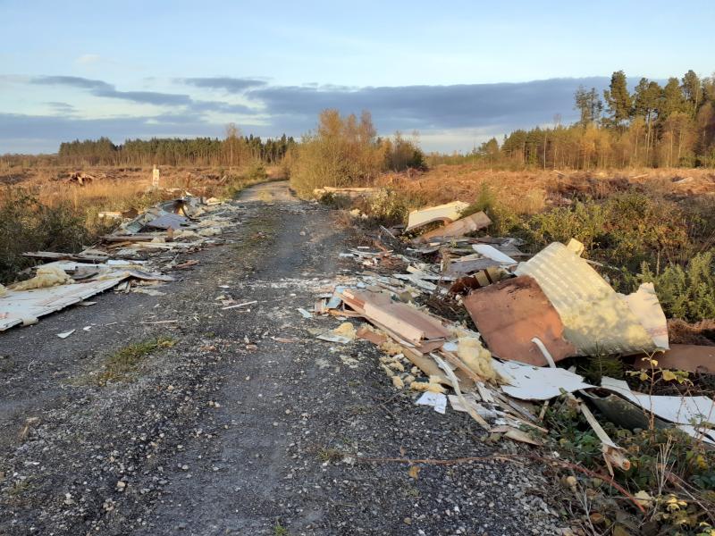 Illegal dumping in Liskeveen, Littleton