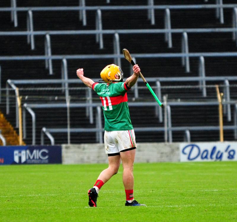 Liam McGrath shows his delight following the win over Borris-Ileigh
