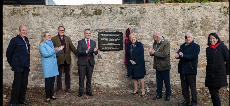Tipperary council secures €250,000 grant to create public gardens at Clonmel's Suir Island