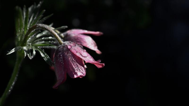 Sadness at death of a lovely lady with a smile and a chat for all she met 