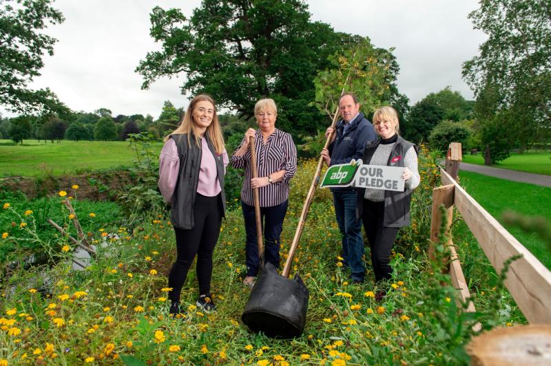 Tidy Towns groups and ABP to plant native trees in Cahir and Nenagh