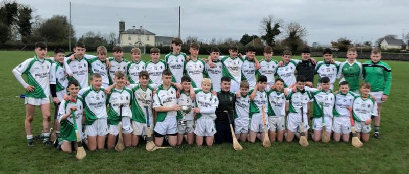 Abbey CBS hold off Ballingarry to win Tipperary's Hennessy Cup hurling final 