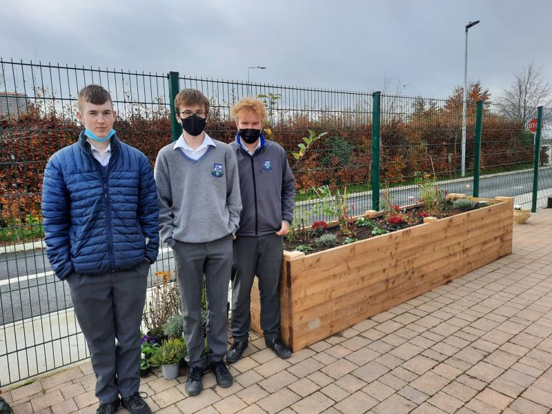 Sensory Garden at Coláiste Mhuire Thurles