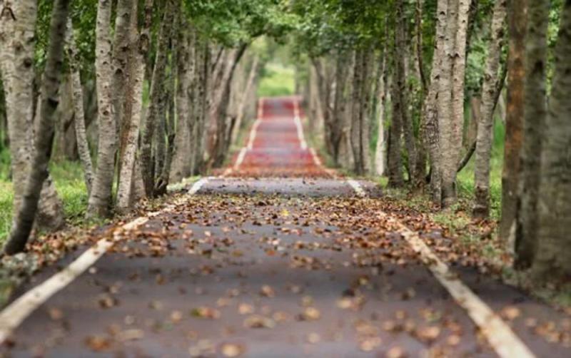 Road in Carrick-on -Suir has now reopened