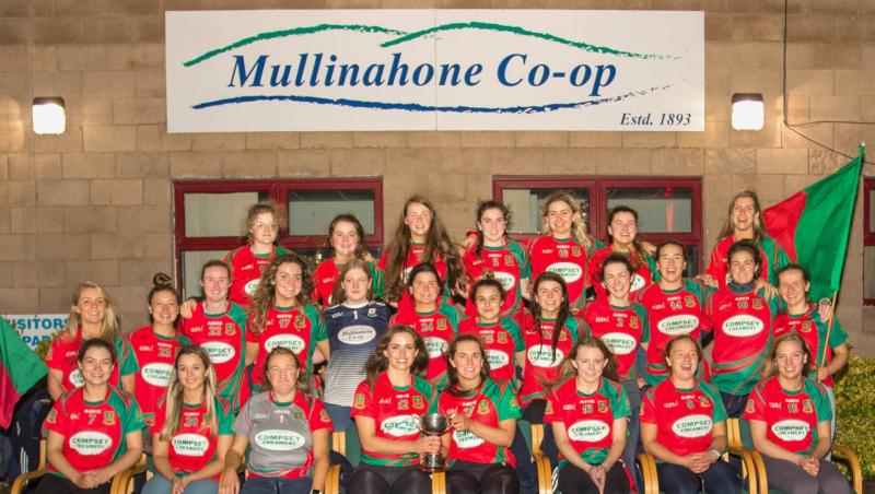 Mullinahone ladies