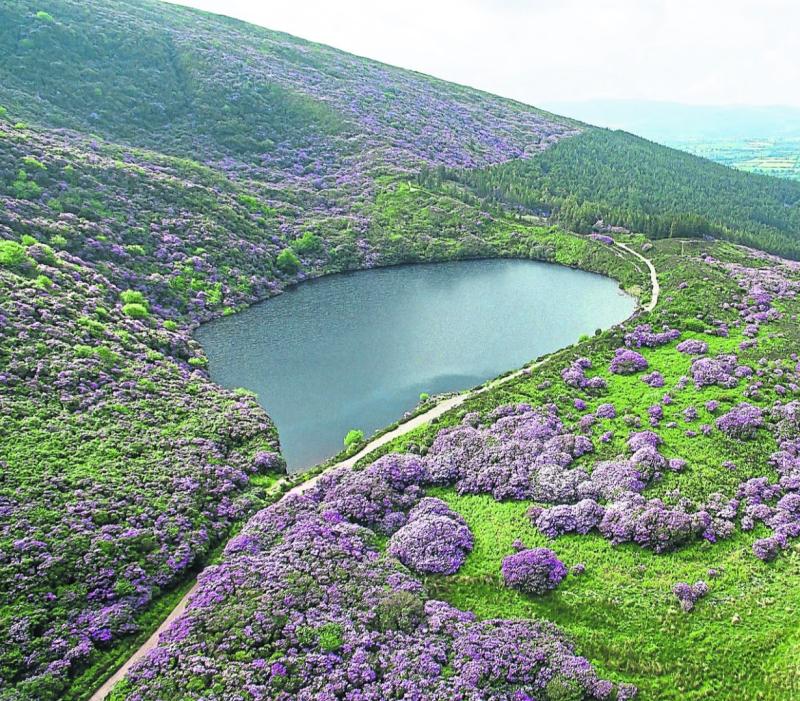 Tipperary folk: Places for Haunted Path of Witch of Baylough are disappearing fast. Book ASAP!