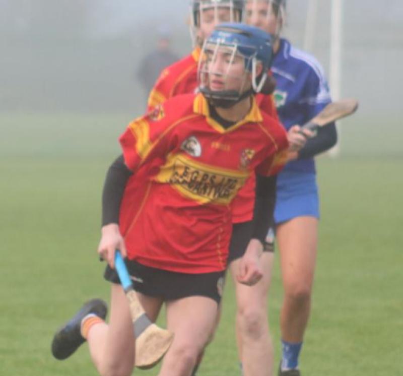 Moycarkey and Shannon Rovers clinch final spots
