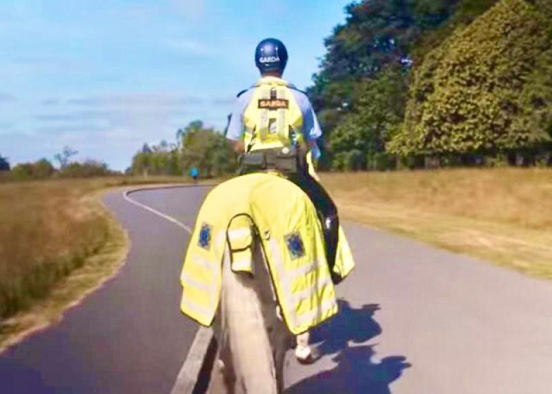 Gardaí and RSA issue advice to motorists about horses on roads