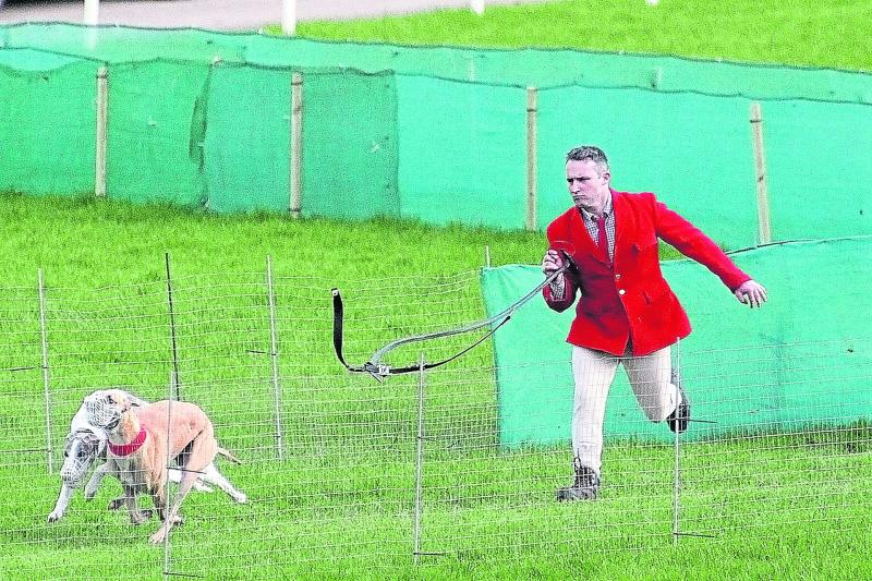 Annual Templetuohy Coursing Festival all set for this weekend