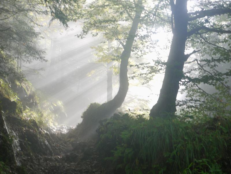 Heartbreak in Tipperary with the death of a local legend - Paddy 'Flags'