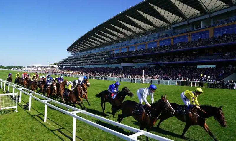  Tipperary trained Luxembourg finishes second at Ascot  in the Prince of Wales's Stakes