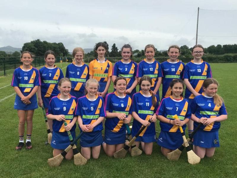 Thrilling Tipperary camogie final sees Boherlahan top Brian Borus