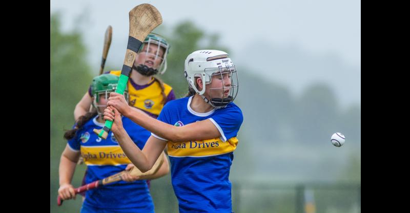 Tipperary play out stalemate with Wexford in U16 All Ireland championship