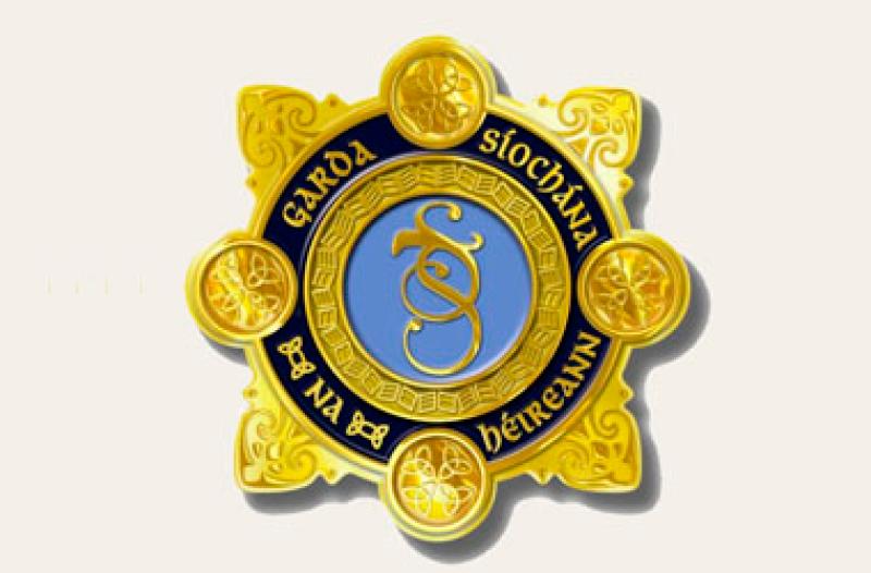 Ten newly attested gardaí to be assigned to stations in county Tipperary, says senator 