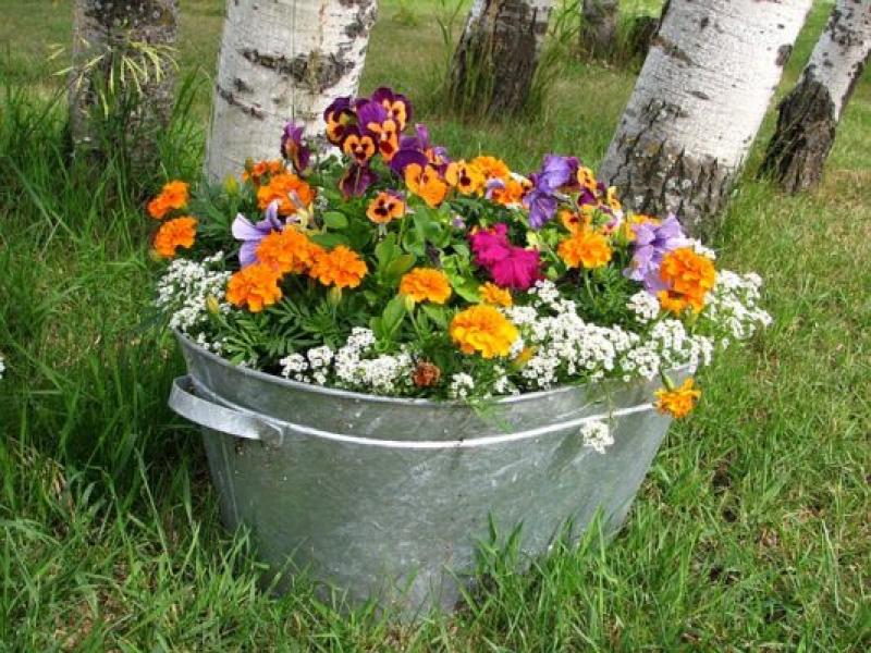 AGM: Golden Kilfeacle Tidy Towns committee this Friday