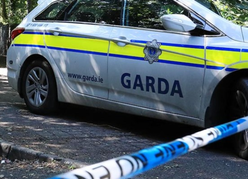 BREAKING: Young woman dies following dog attack in Limerick