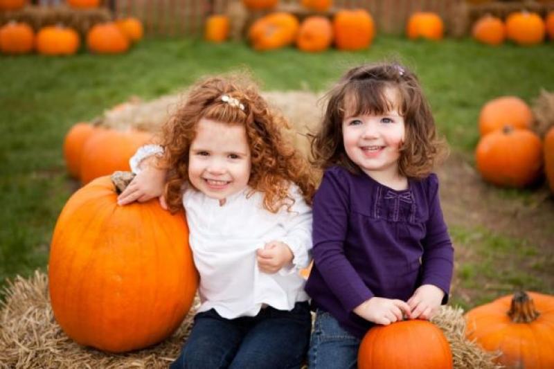 €100 top prize for the best Pumpkin in Tipperary on Sunday next