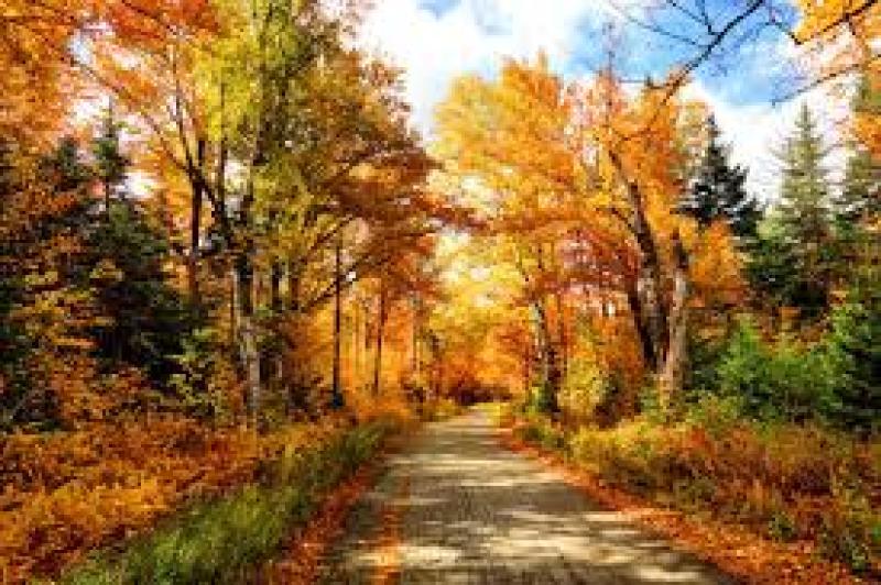 Tipperary walking club looks forward to season of mists and mellow fruitfulness