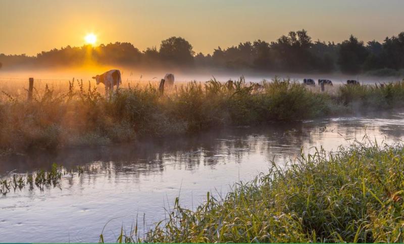 Tipperary Co-op high on EPA wastewater list