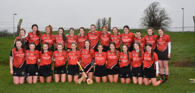 Colaiste Phobal Roscrea lose out narrrowly in All Ireland final