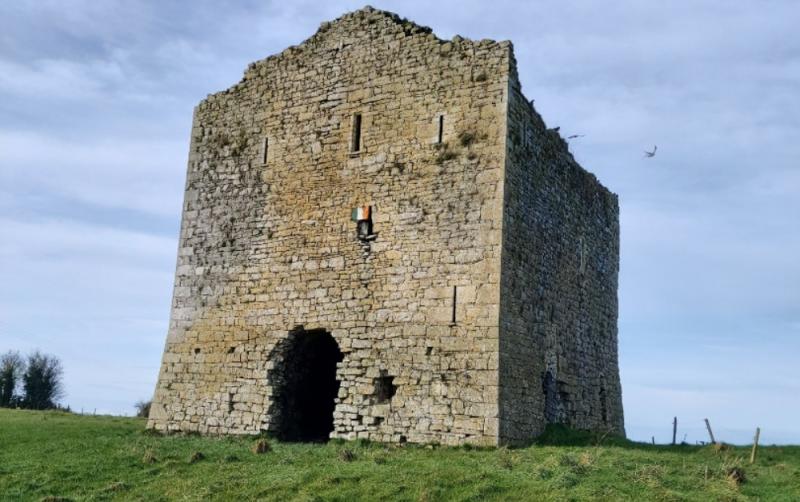 C. 82.5 acre impressive non residential holding with local landmark “Moyneard Castle” there-on