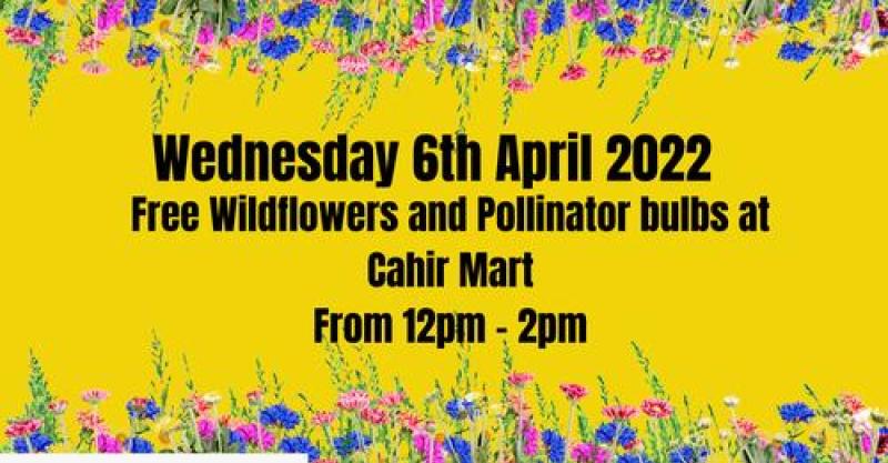 Free wildflowers available at Cahir Mart