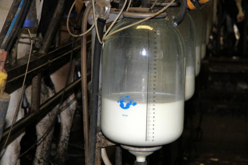 Tipperary consumers warned rising costs could put milk supply on shelves in jeopardy
