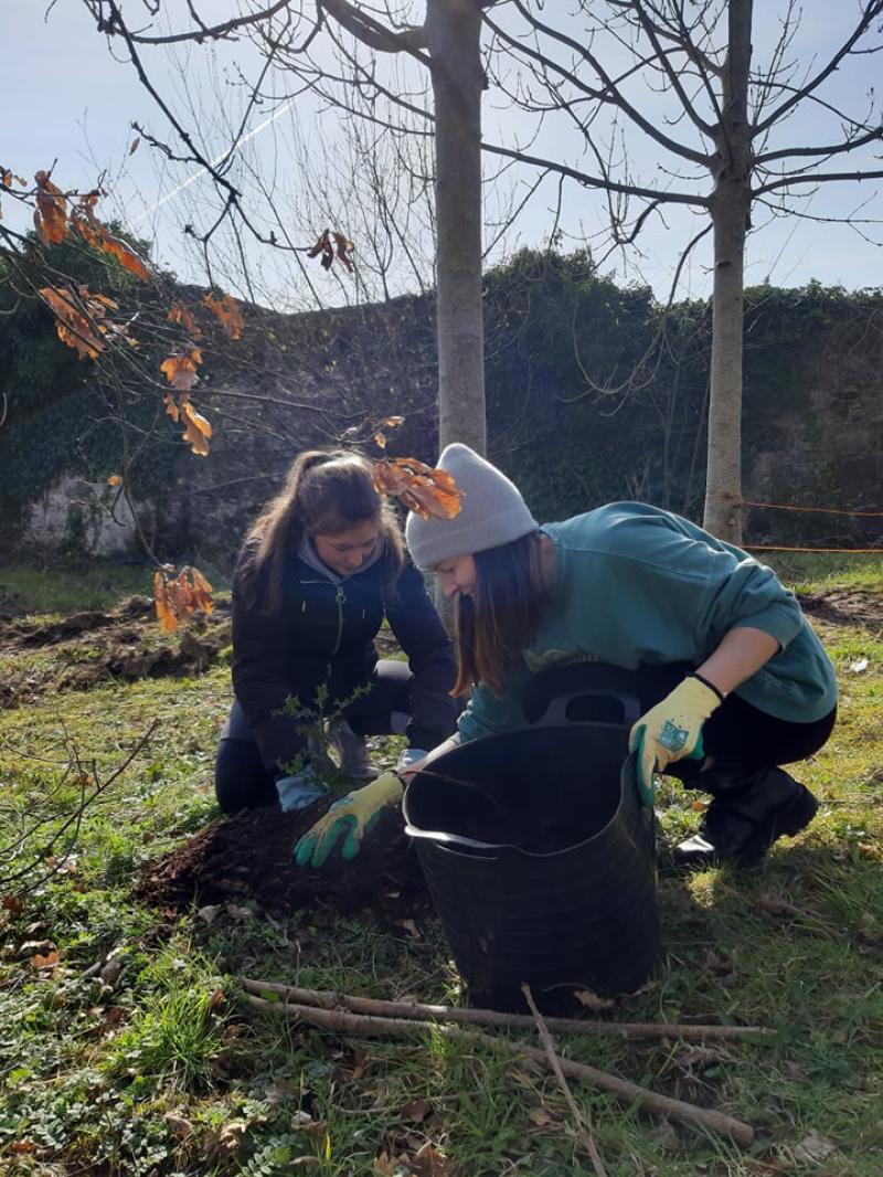 A Student from Cashel helps plant 100 native trees