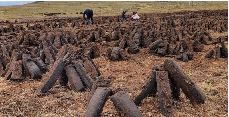 OPINION: Tipperary community activist says turf ban would hit the most vulnerable households