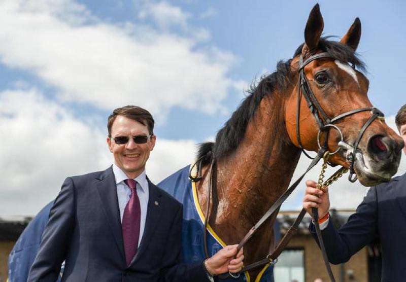 Horse racing trainer Aidan O&rsquo;Brien discusses the Guineas Festival with BetVictor - Interview 