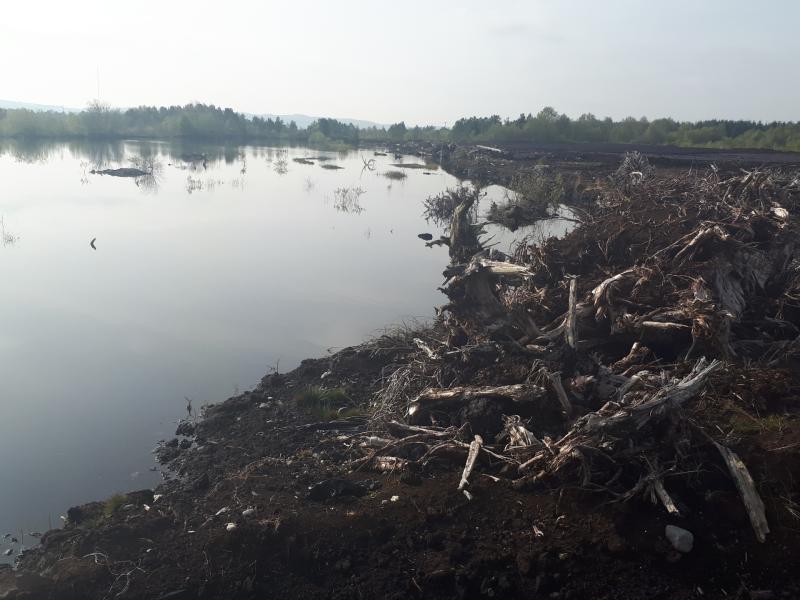 A portion of the bog under water