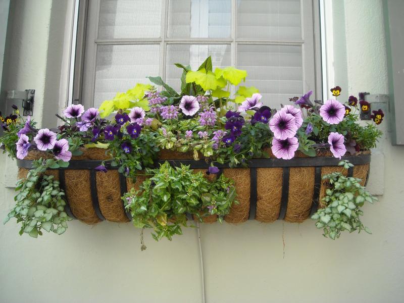 This Tipperary community is looking for help in preparing for this year's Tidy Towns competition