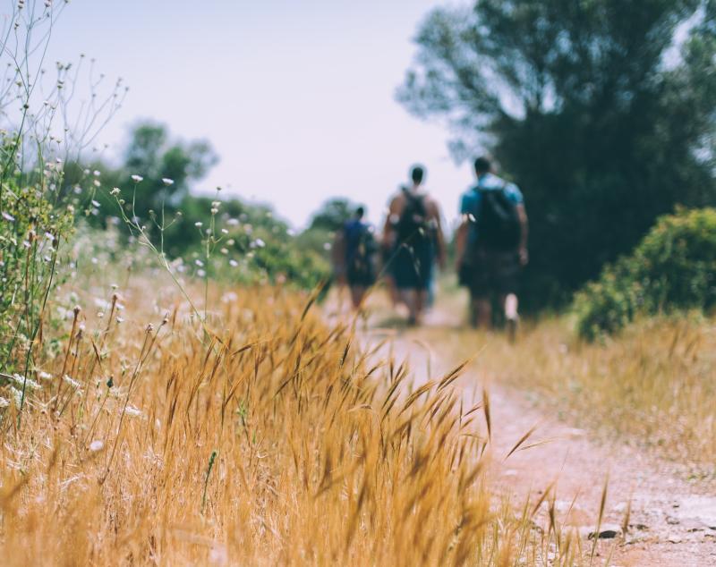 Calling all hikers! Hike your way to the top of Lugnaquilla in aid of Peter McVerry Trust