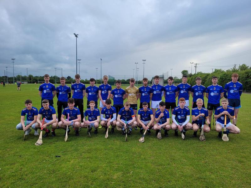 The Tipperary panel which won the Michael Hogan Cup this afternoon