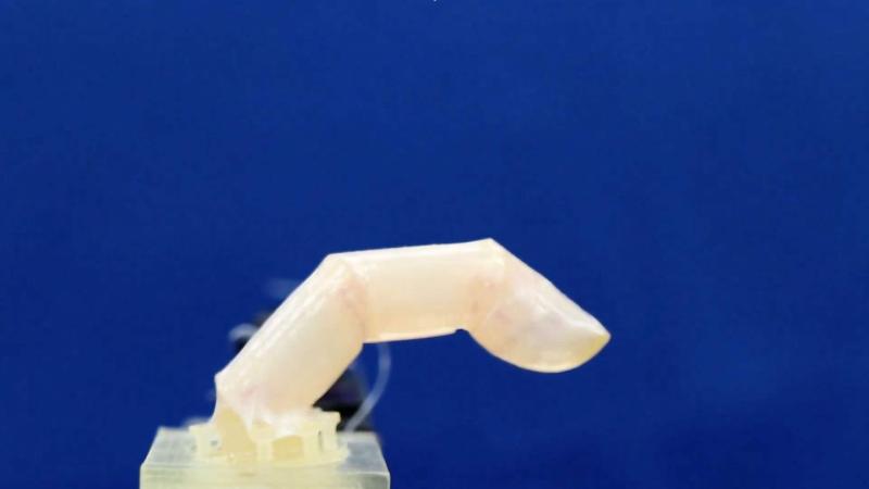 Scientists one step closer to developing humanoid robots